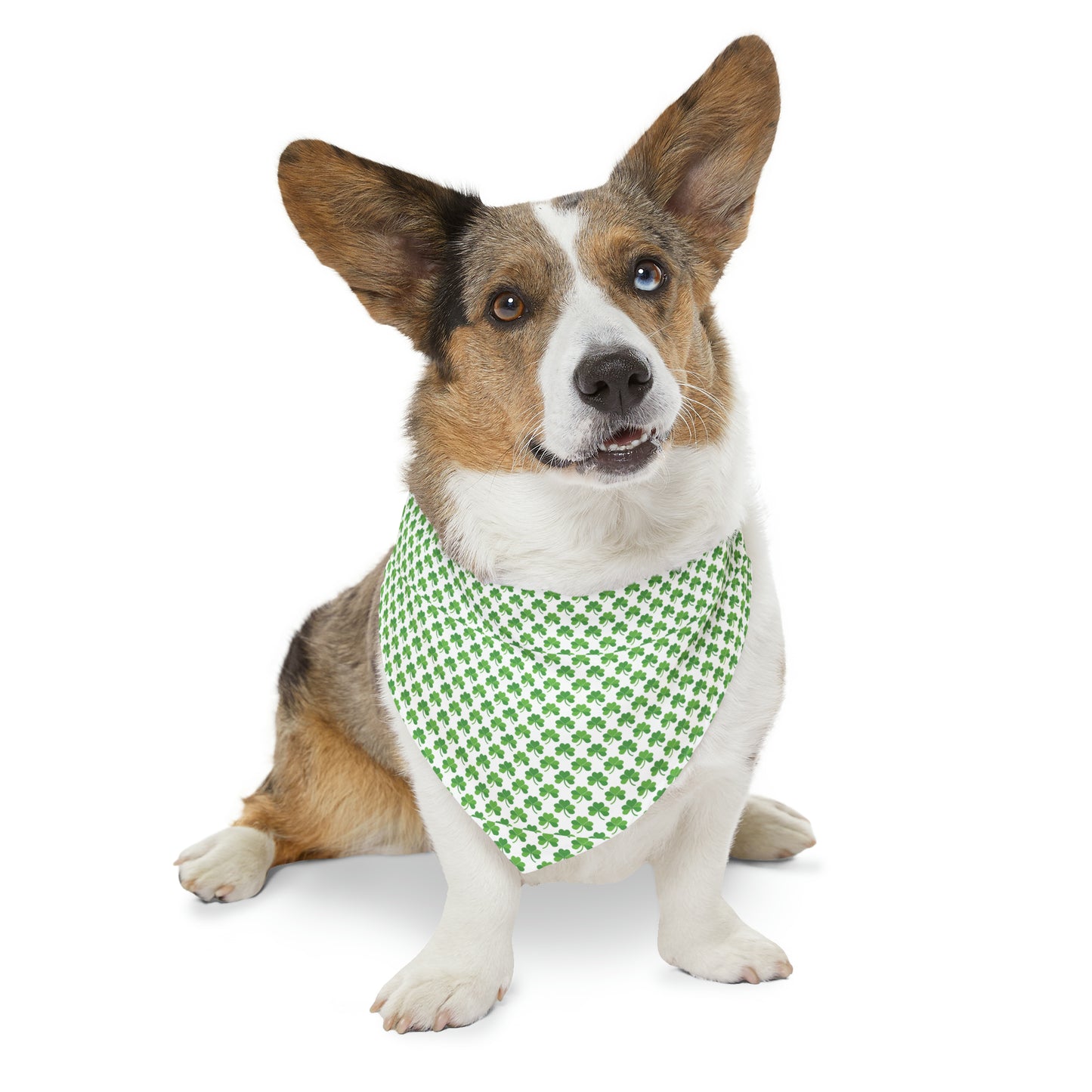 Shamrock Pet Bandana Collar