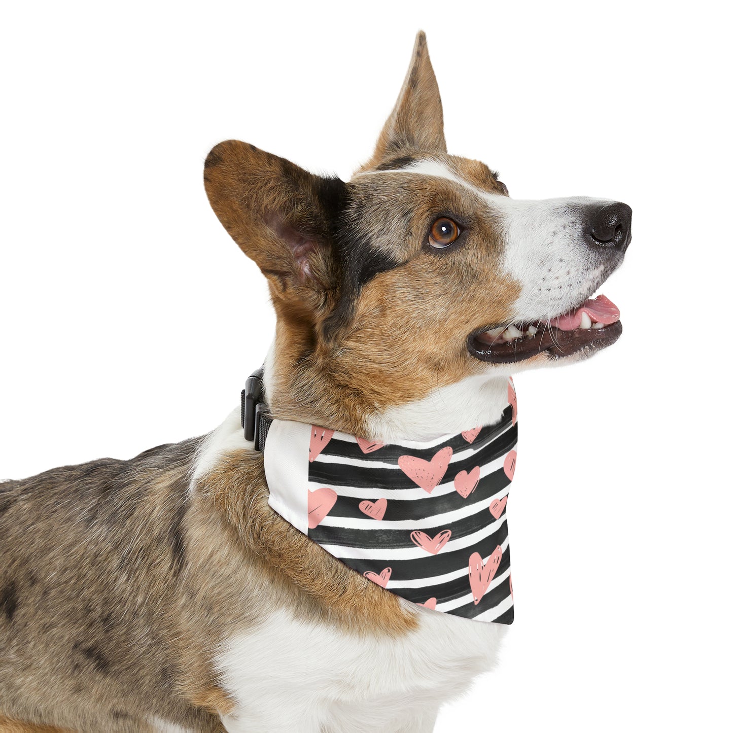 Hearts & Stripes Pet Bandana Collar