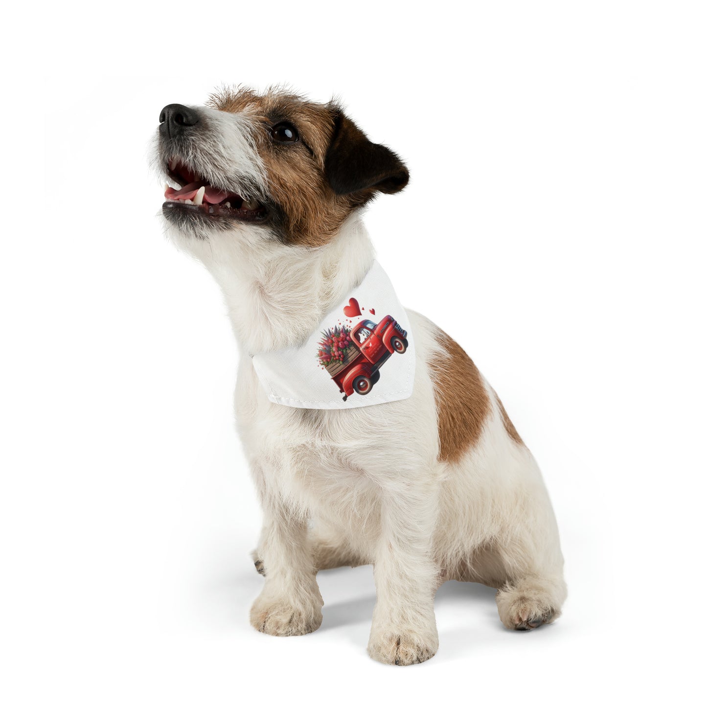 Eye Patch Bull Terrier Valentine's Day Truck Pet Bandana Collar
