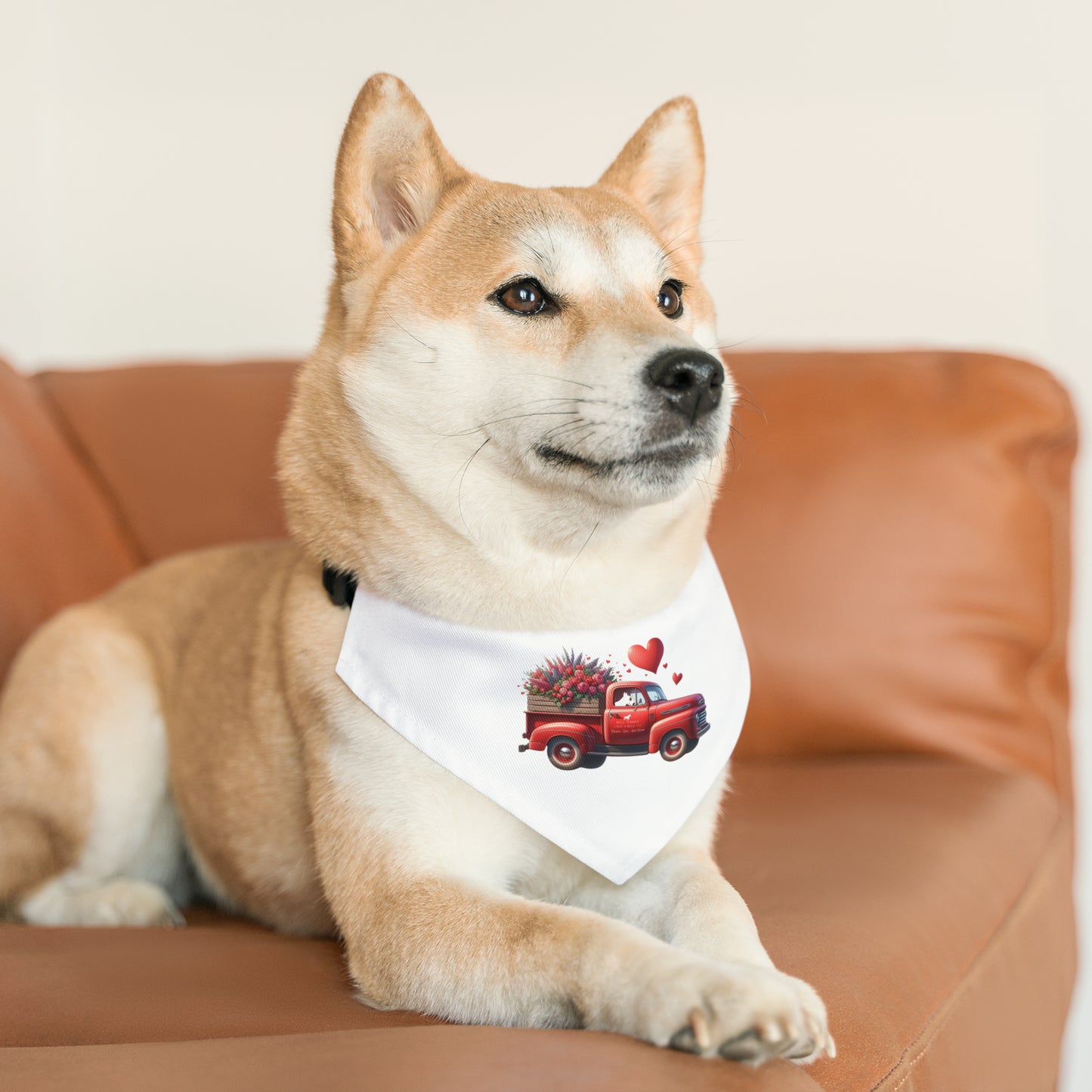 Eye Patch Bull Terrier Valentine's Day Truck Pet Bandana Collar