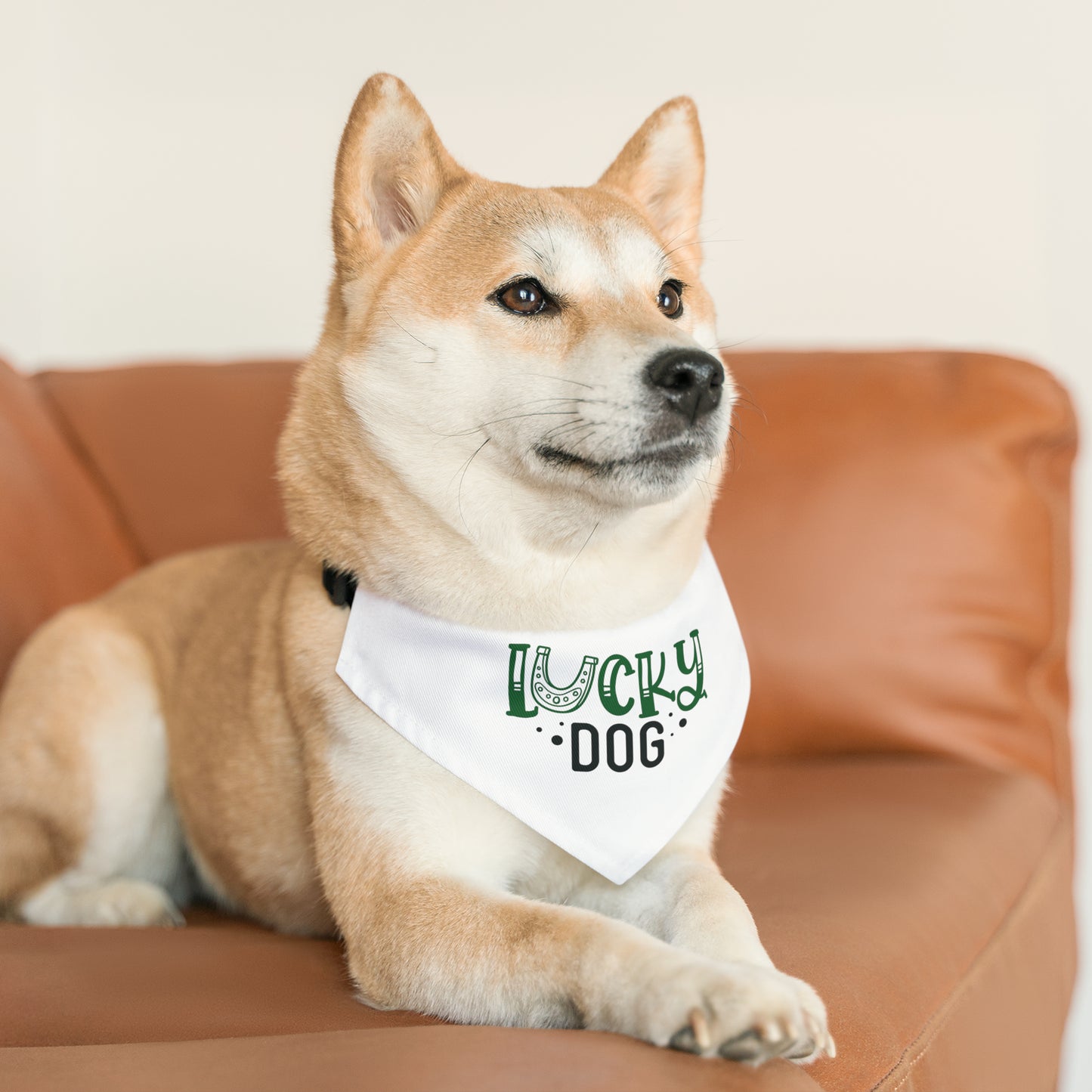 Lucky Dog Pet Bandana Collar
