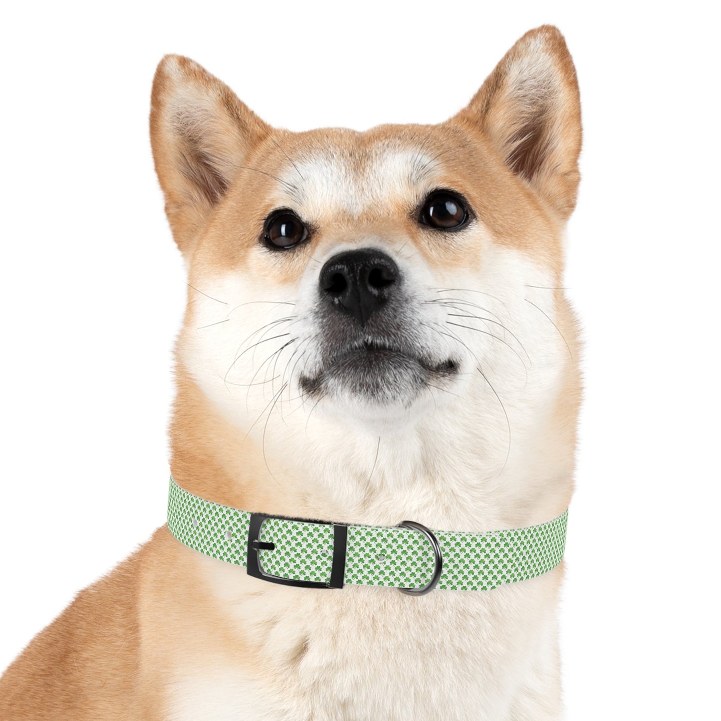 Tiny Shamrock Dog Collar