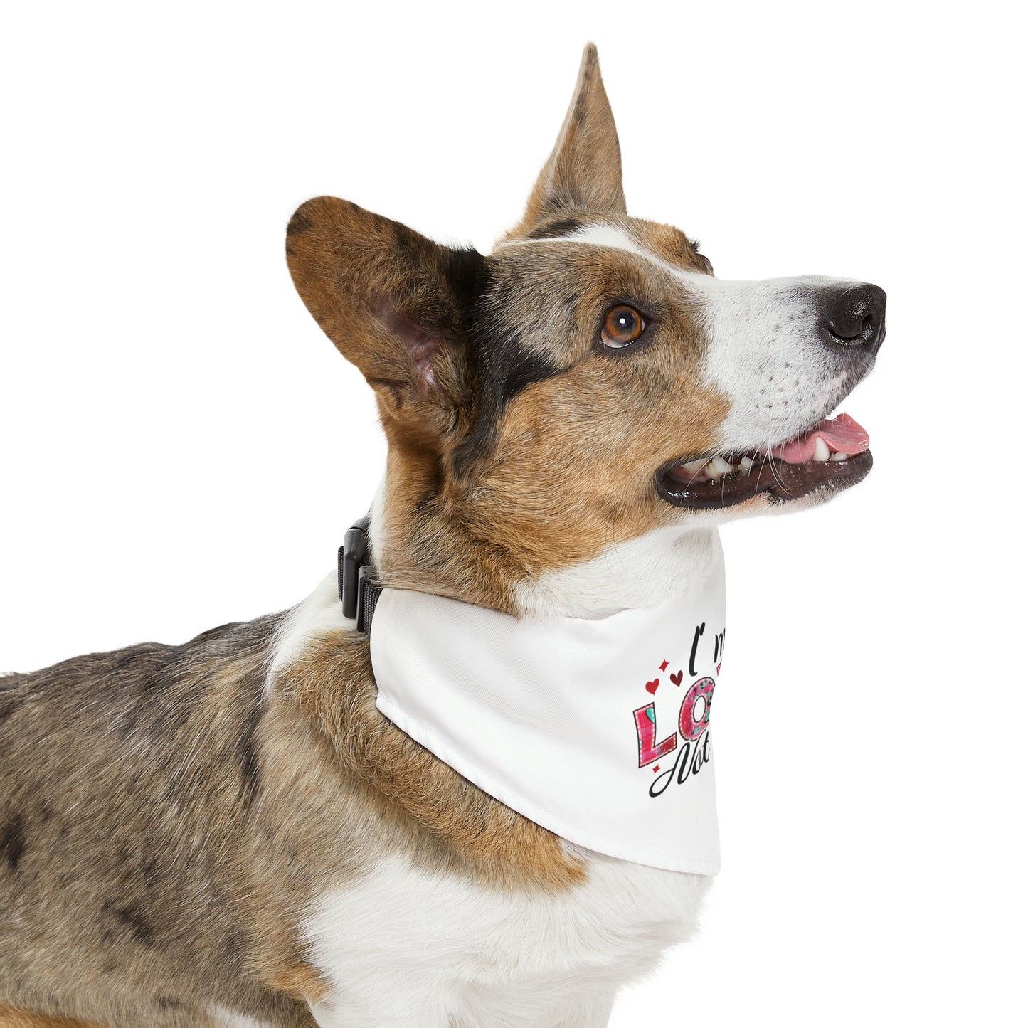 Valentine's Pet Bandana Collar