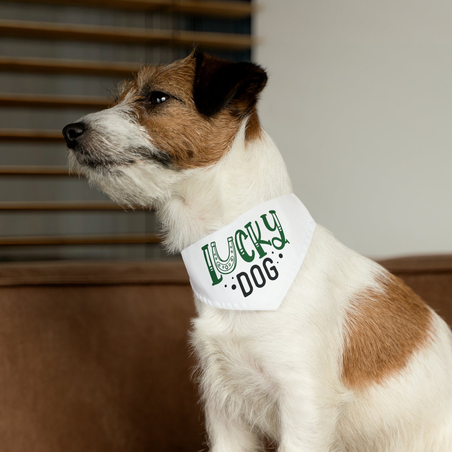 Lucky Dog Pet Bandana Collar