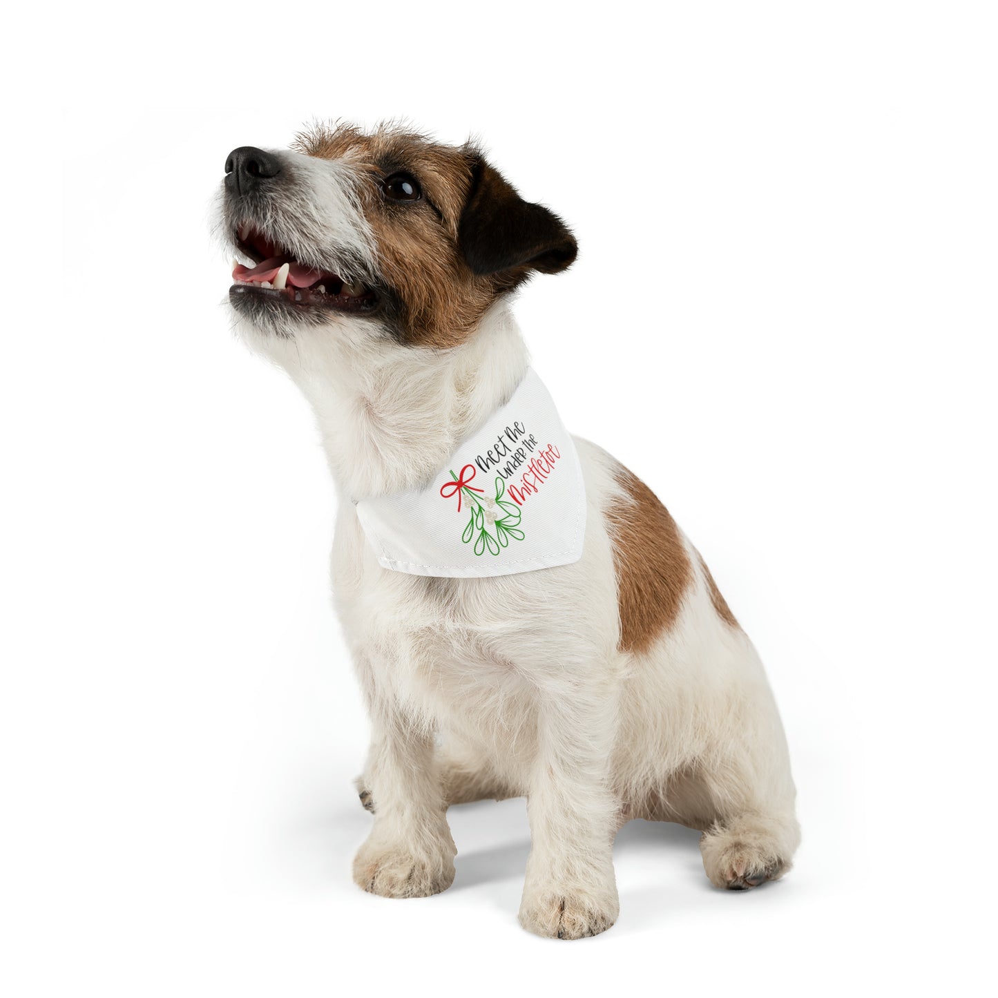 Christmas Pet Bandana Collar