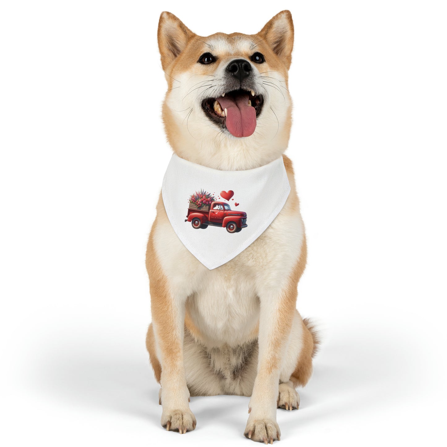 Eye Patch Bull Terrier Valentine's Day Truck Pet Bandana Collar