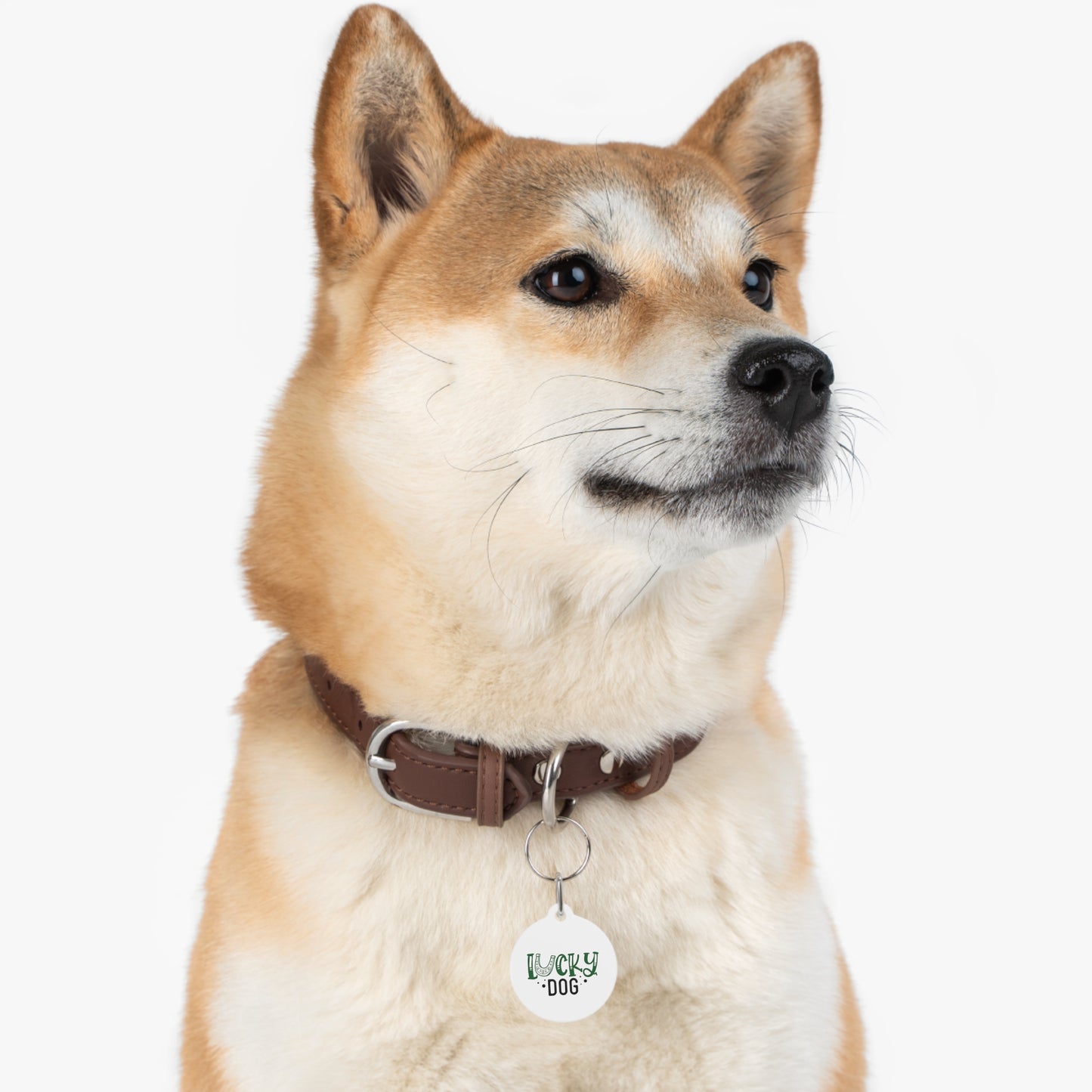 Lucky Dog Pet Tag