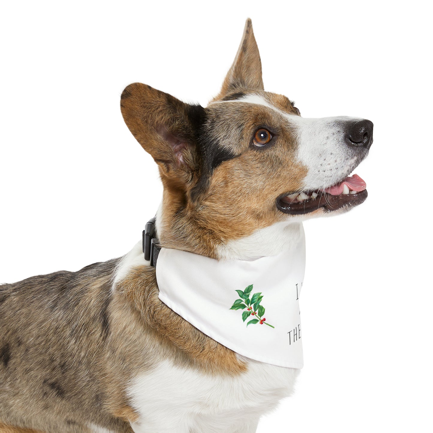 Christmas Pet Bandana Collar