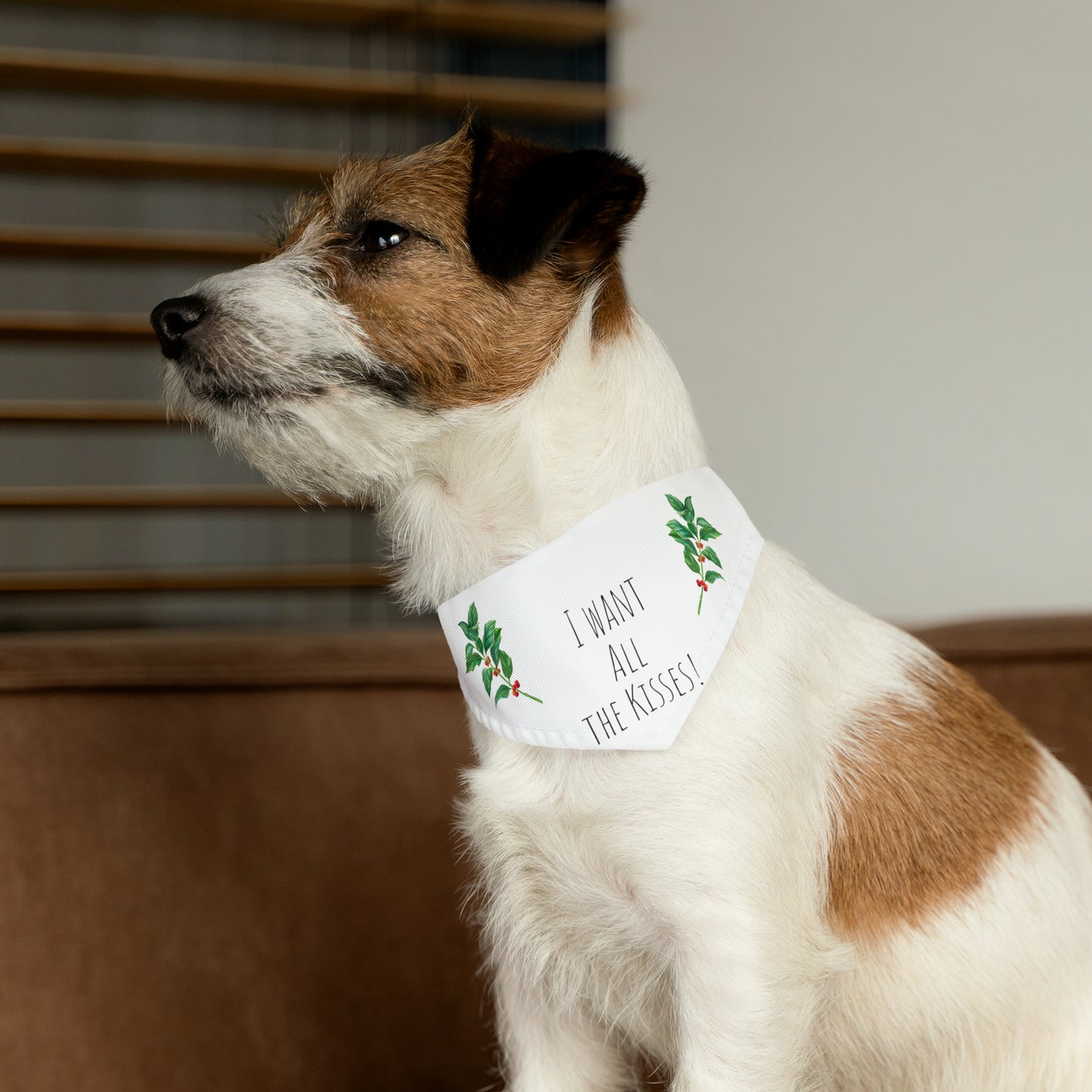 Christmas Pet Bandana Collar