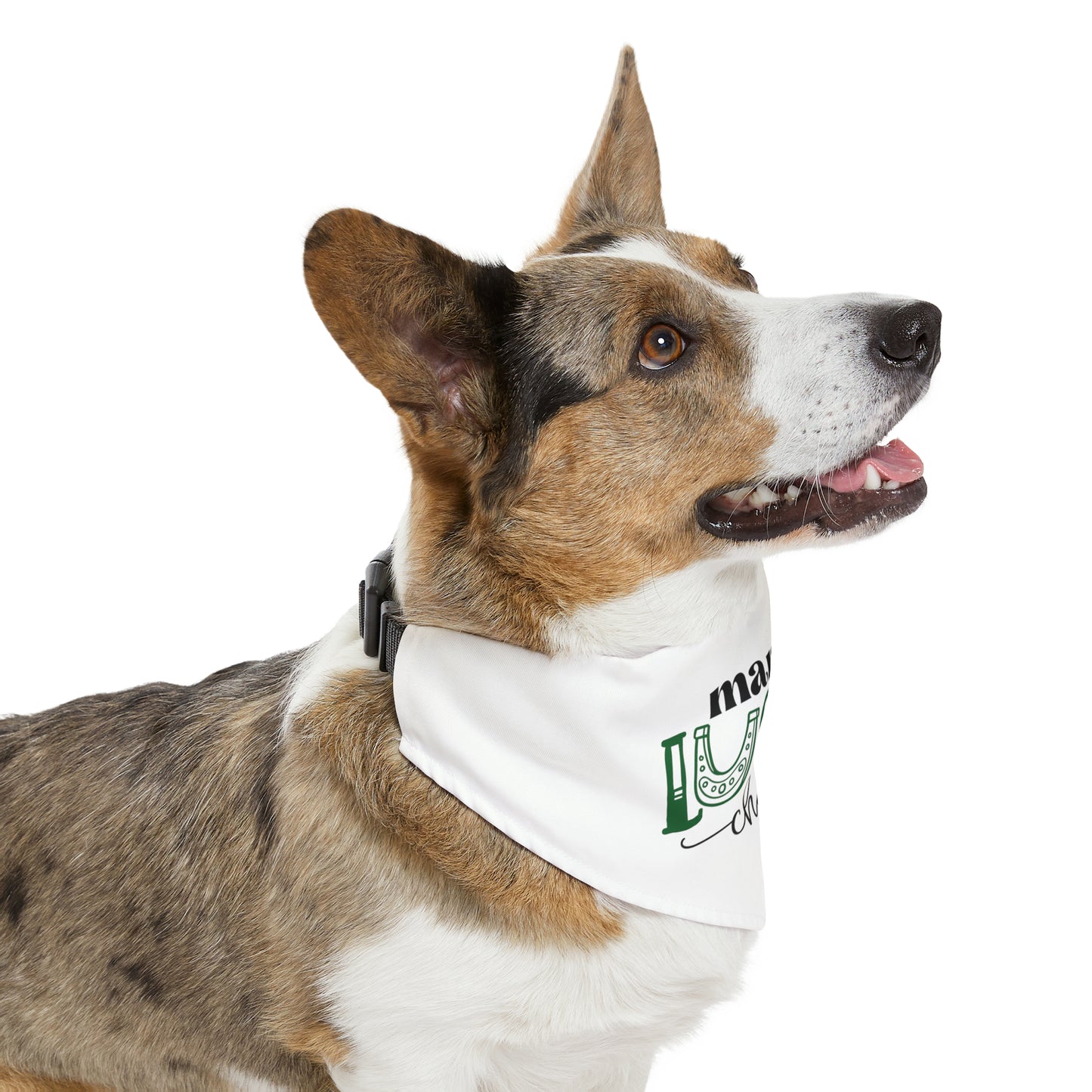 Mama's Lucky Charm Pet Bandana Collar