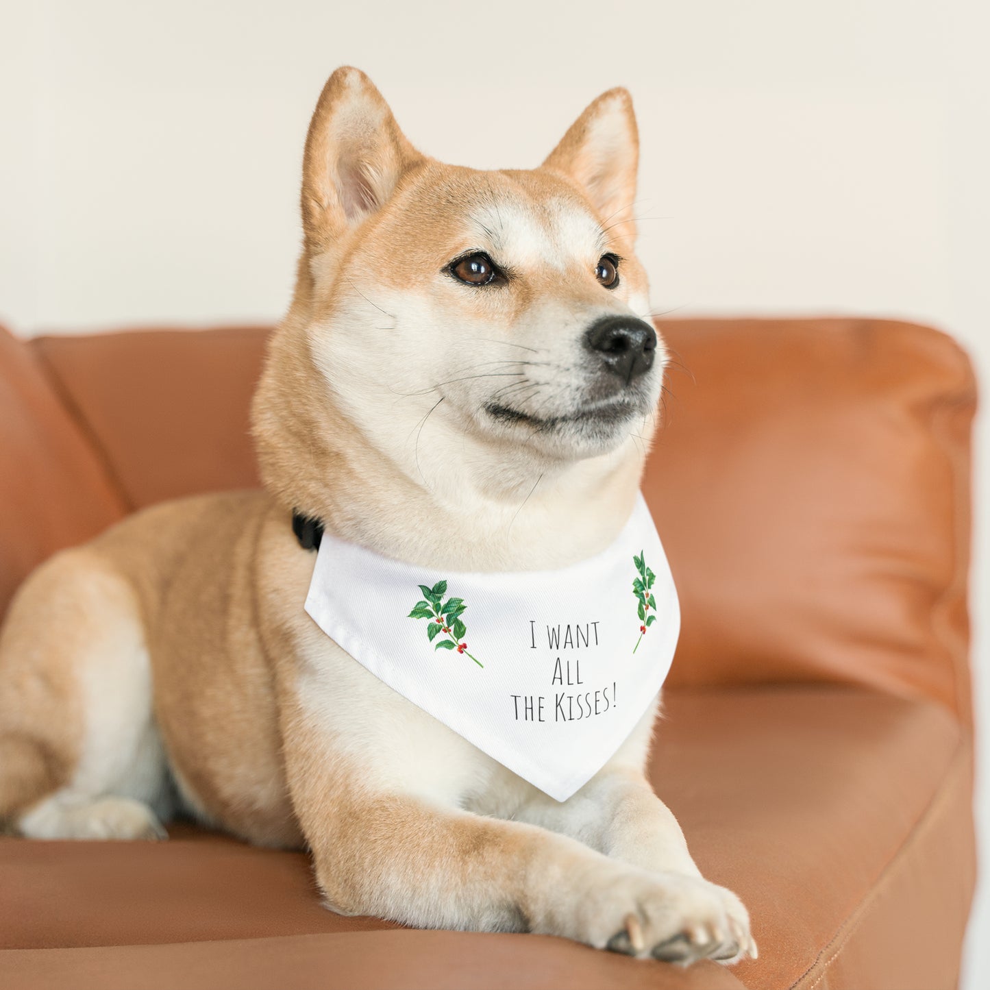 Christmas Pet Bandana Collar
