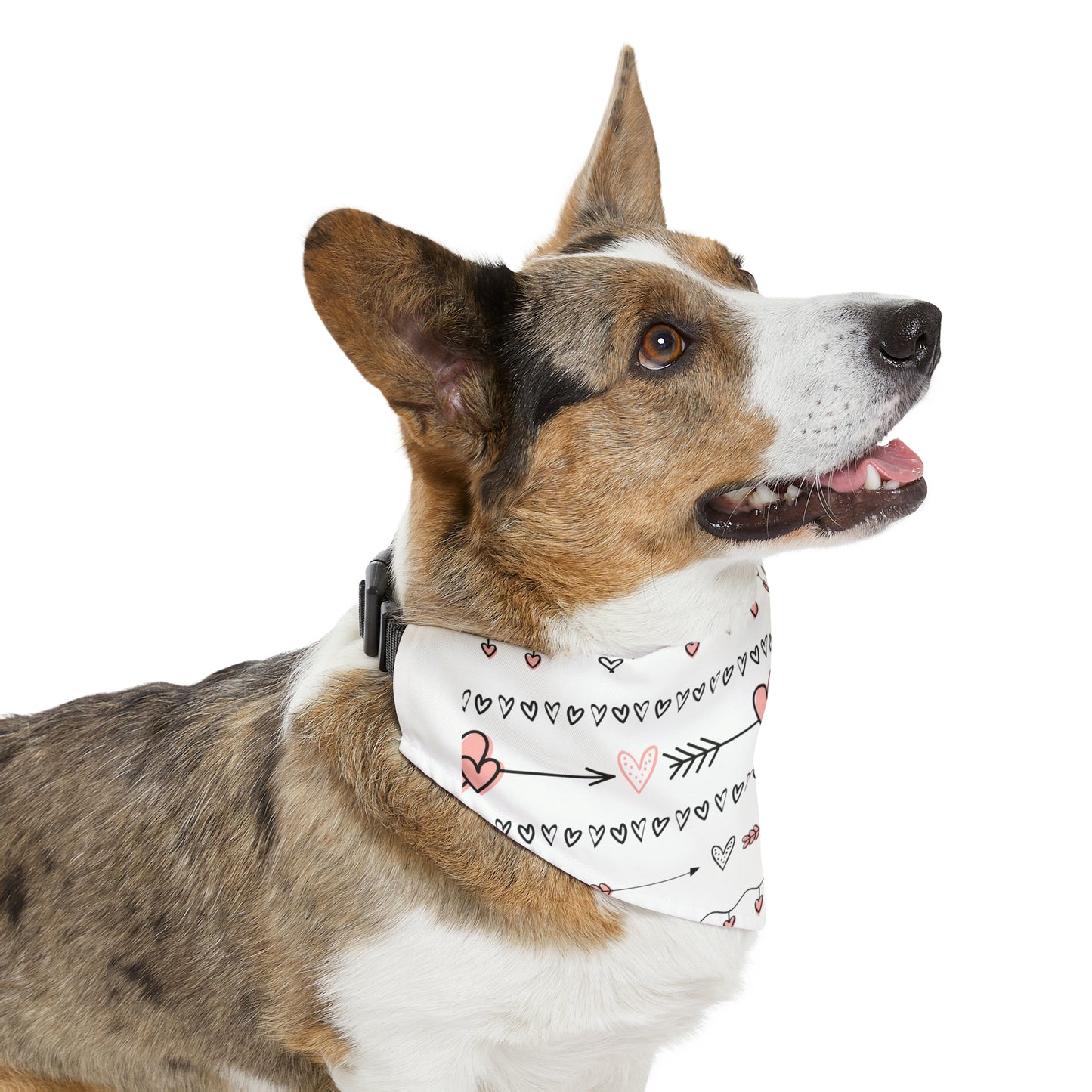 Valentine's Hearts Pet Bandana Collar