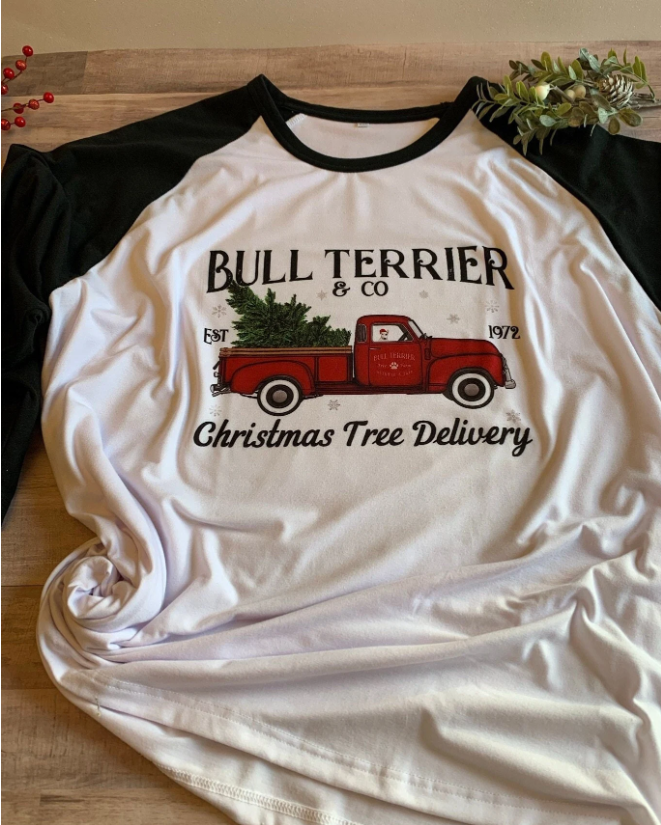 Bull Terrier Christmas Tree Truck Shirt