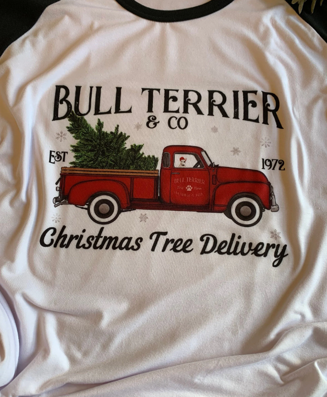 Bull Terrier Christmas Tree Truck Shirt