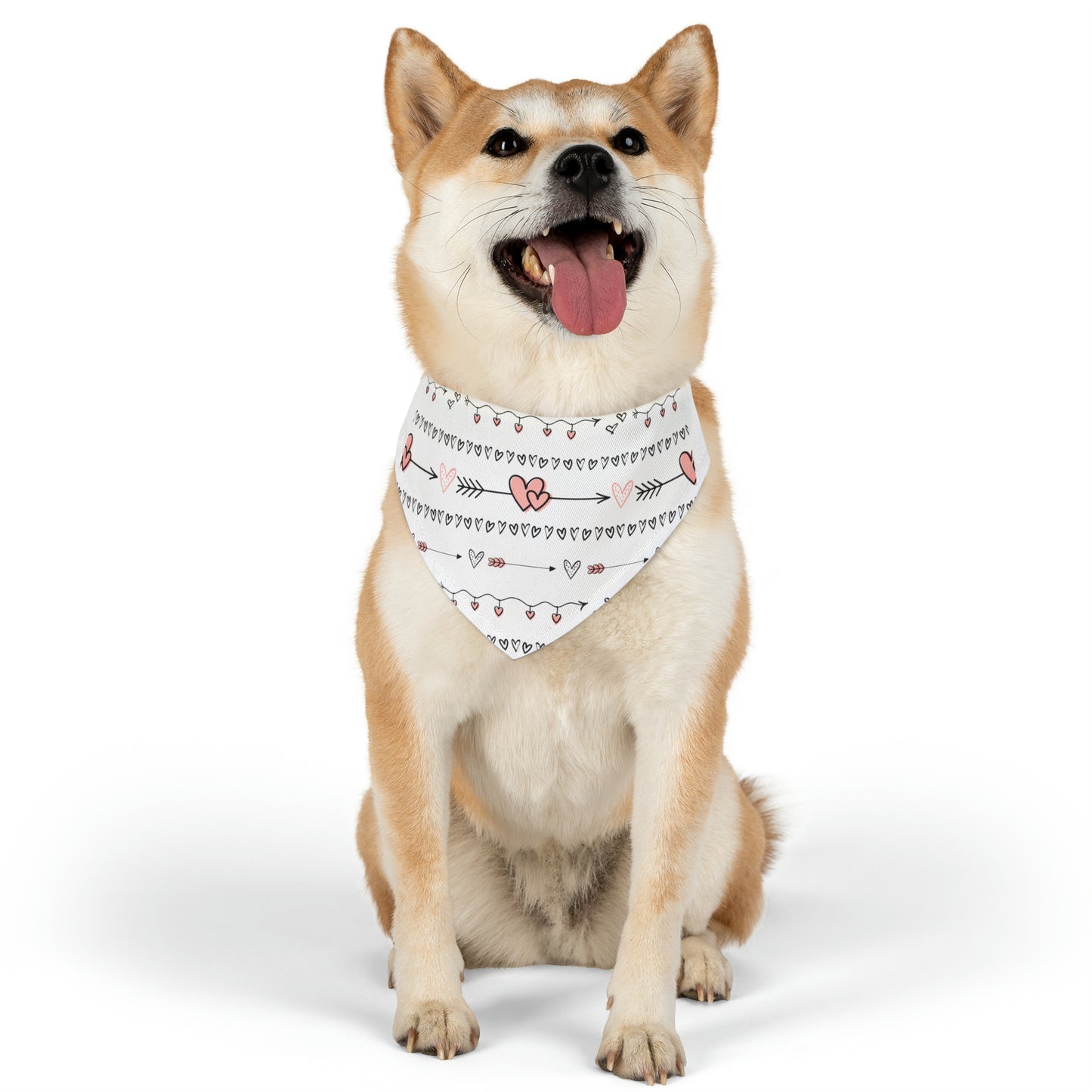 Valentine's Hearts Pet Bandana Collar
