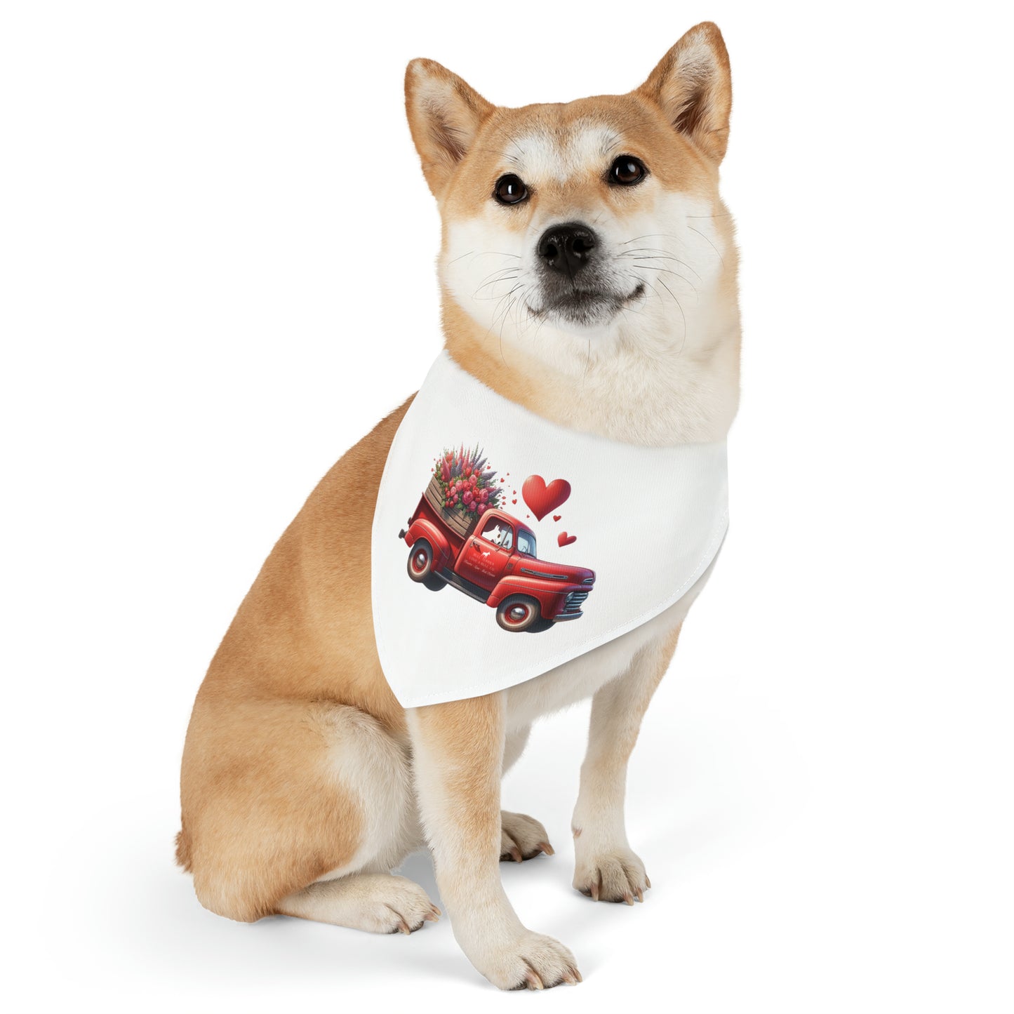 Eye Patch Bull Terrier Valentine's Day Truck Pet Bandana Collar