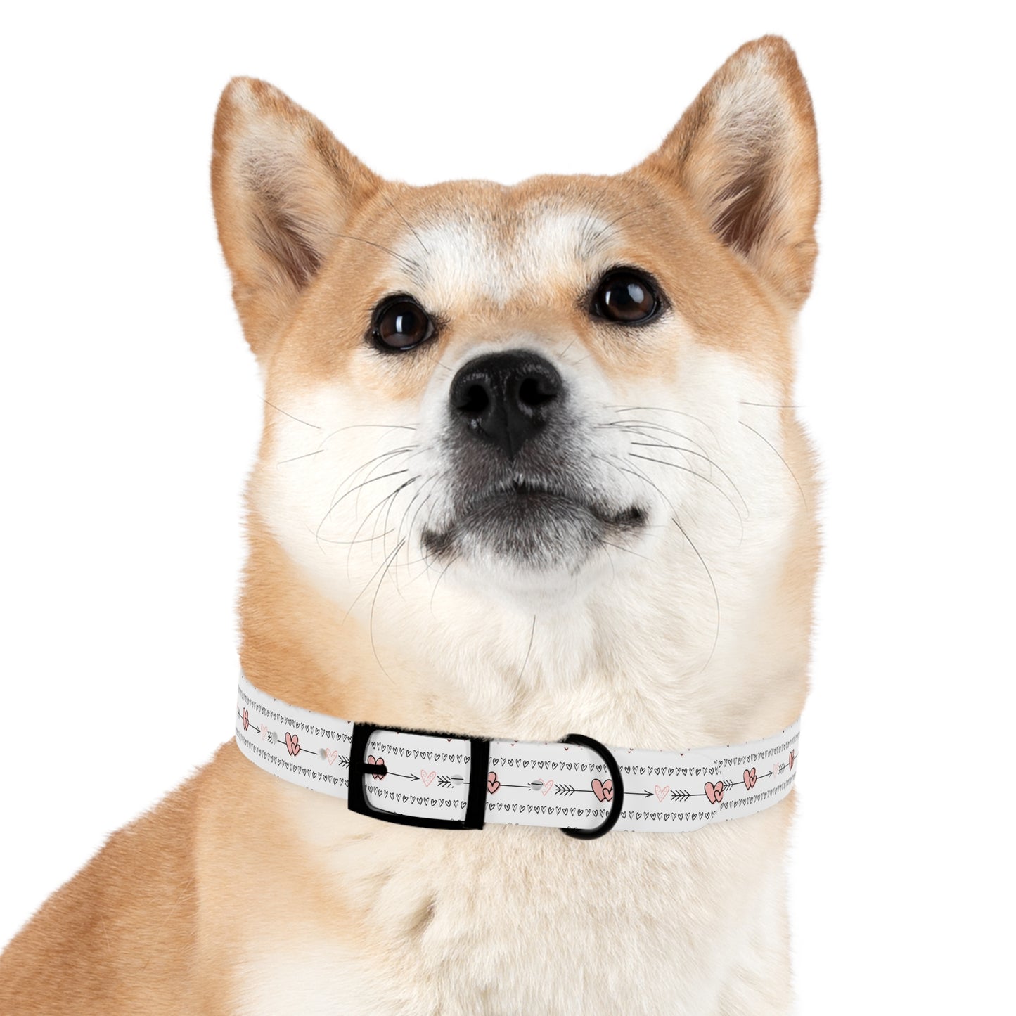Valentine's Hearts Dog Collar