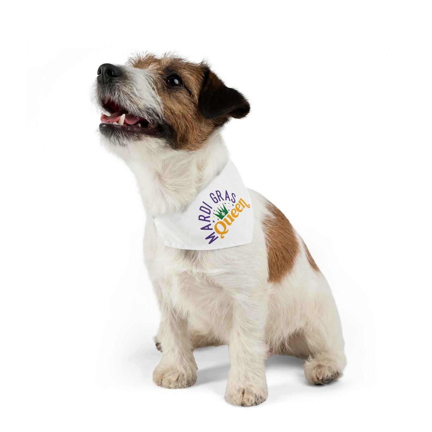 Mardi Gras Queen Pet Bandana Collar
