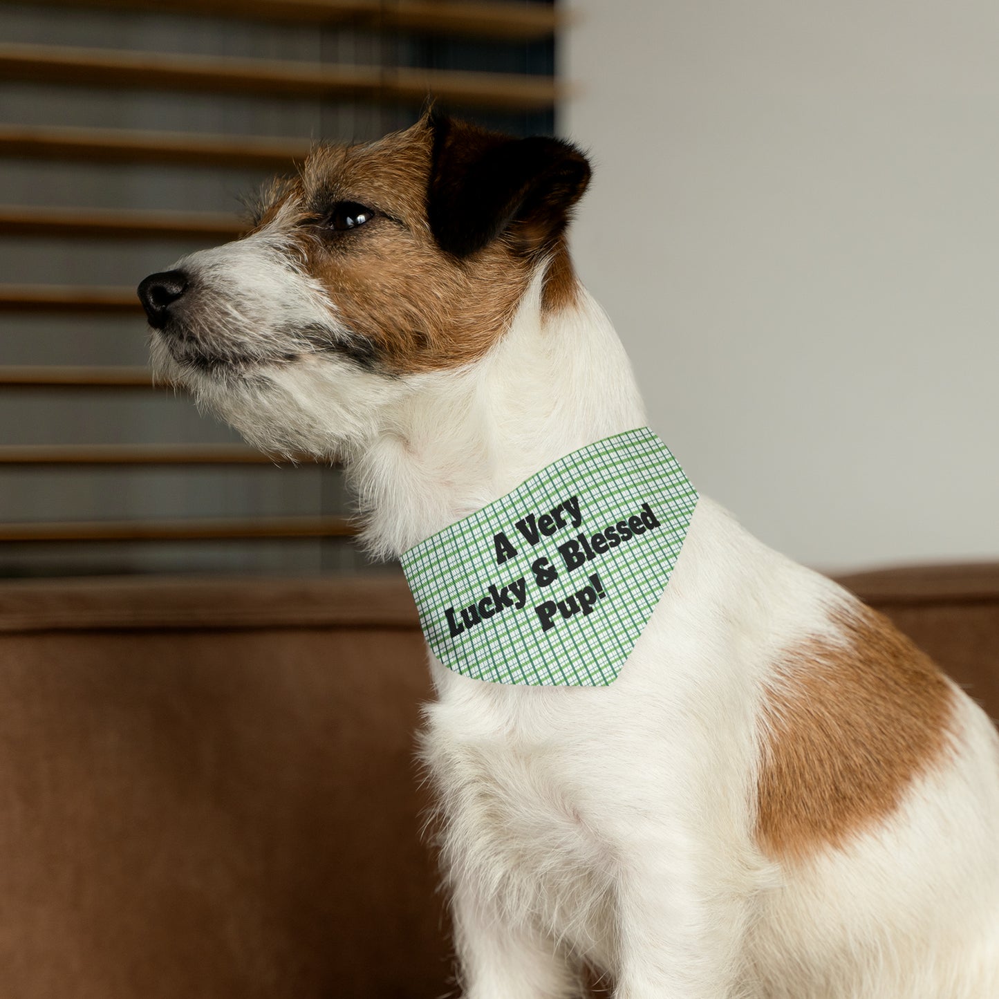 A Very Lucky & Blessed Pup Pet Bandana Collar