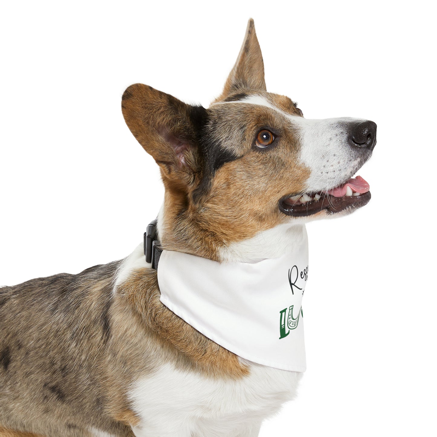Rescued and Lucky Pet Bandana Collar