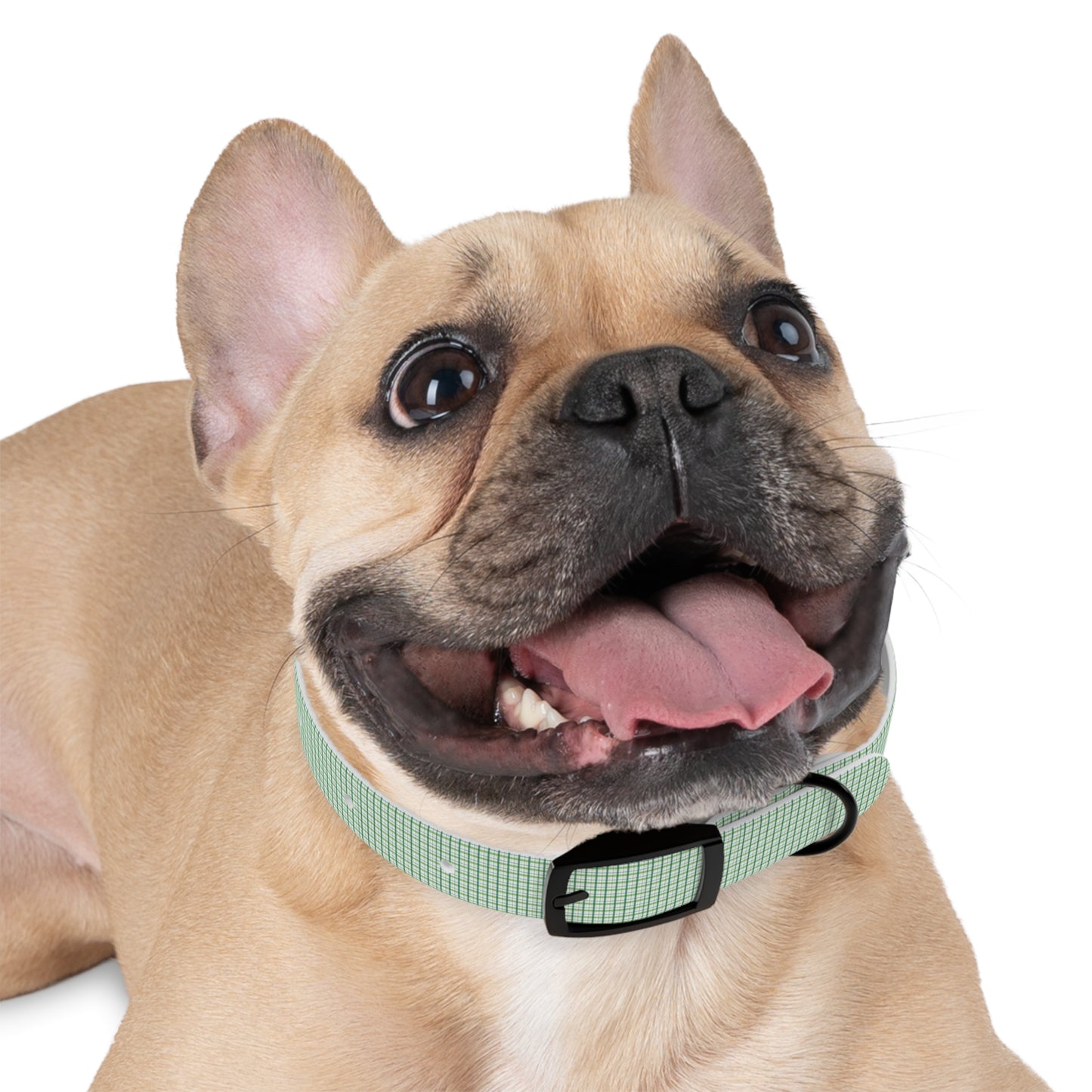 Green Plaid Dog Collar