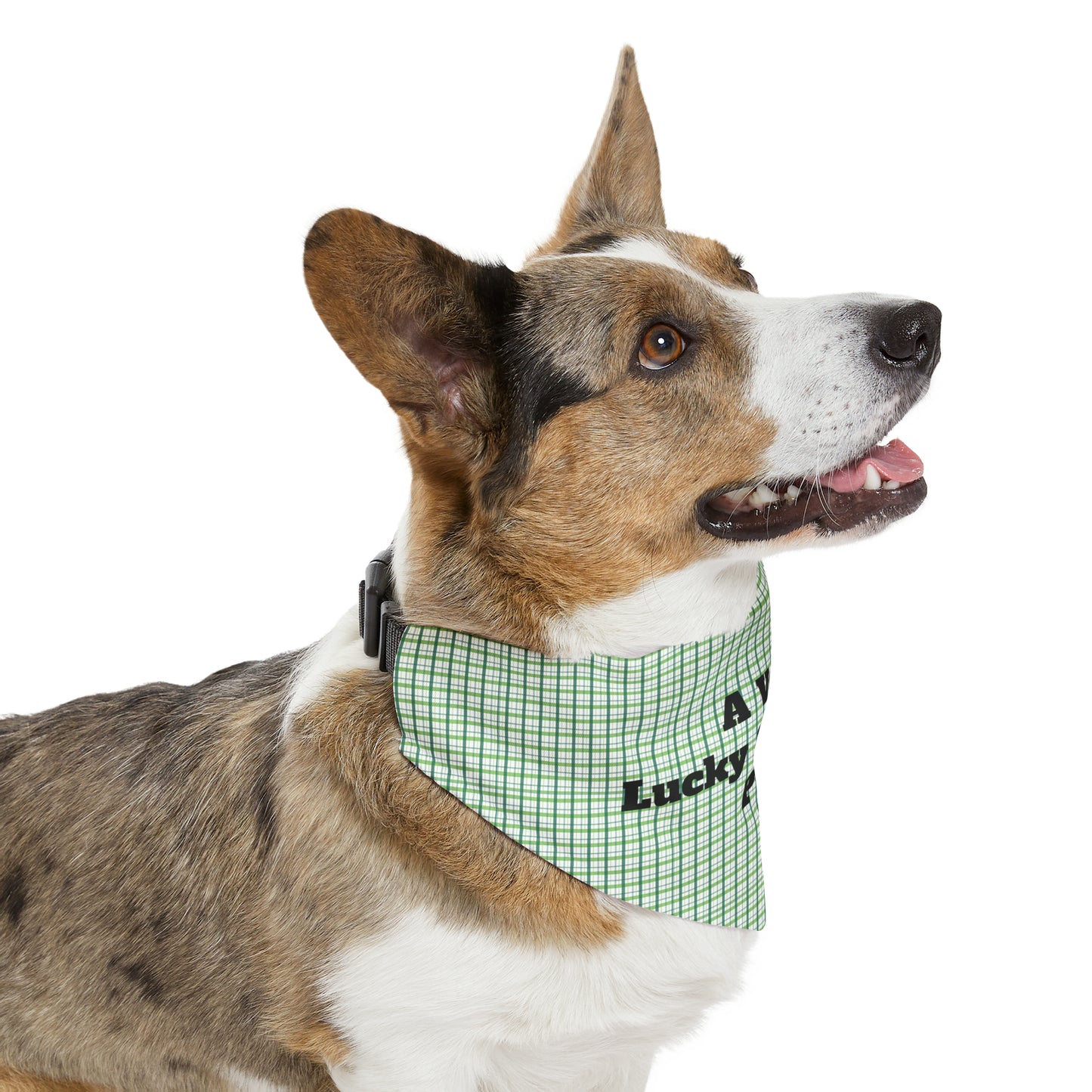 A Very Lucky & Blessed Pup Pet Bandana Collar