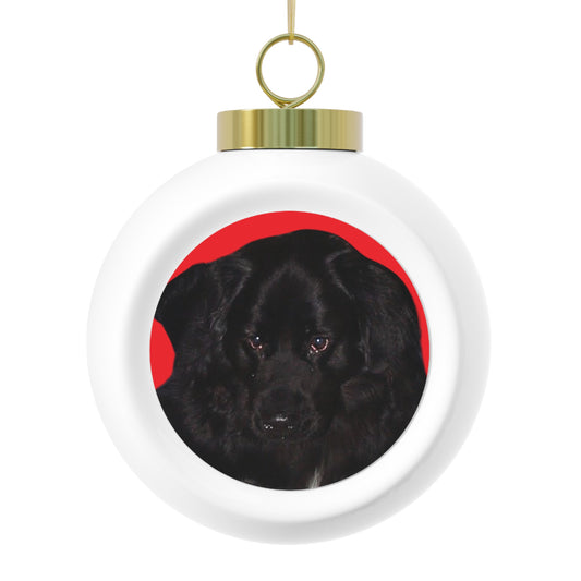 Personalized Christmas Ball Ornament, Holiday Decor, Pet Lover Gift, Custom Keepsake, Unique Tree Decoration, Festive Ornament