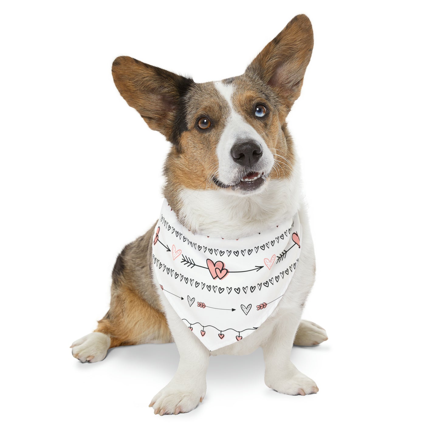 Valentine's Hearts Pet Bandana Collar