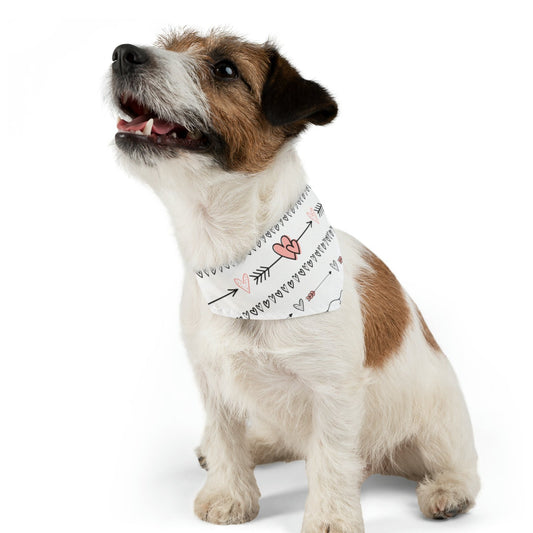 Valentine's Hearts Pet Bandana Collar