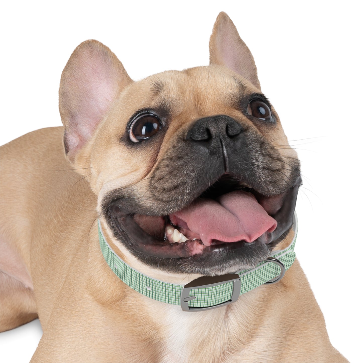 Green Plaid Dog Collar