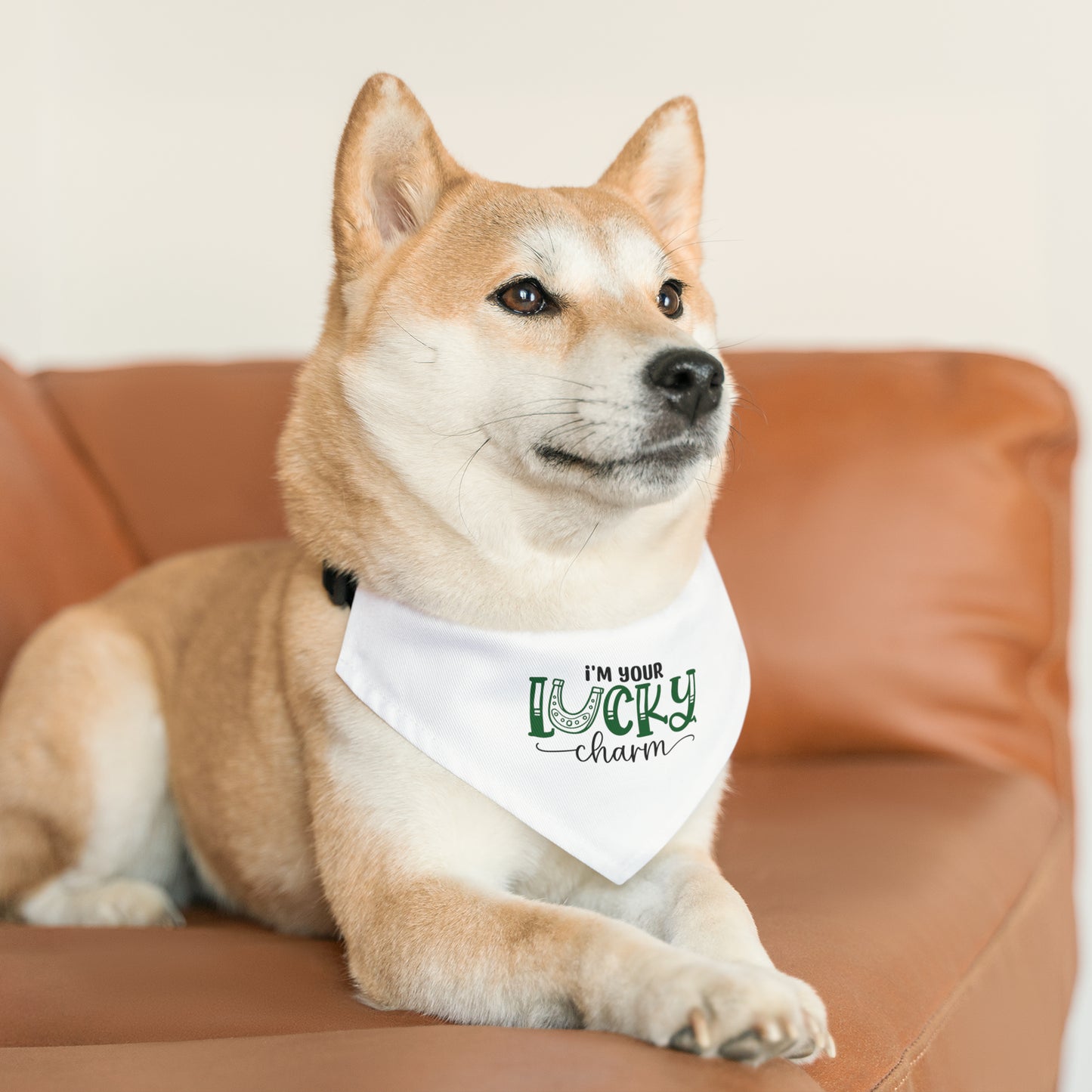Lucky Charm Pet Bandana Collar
