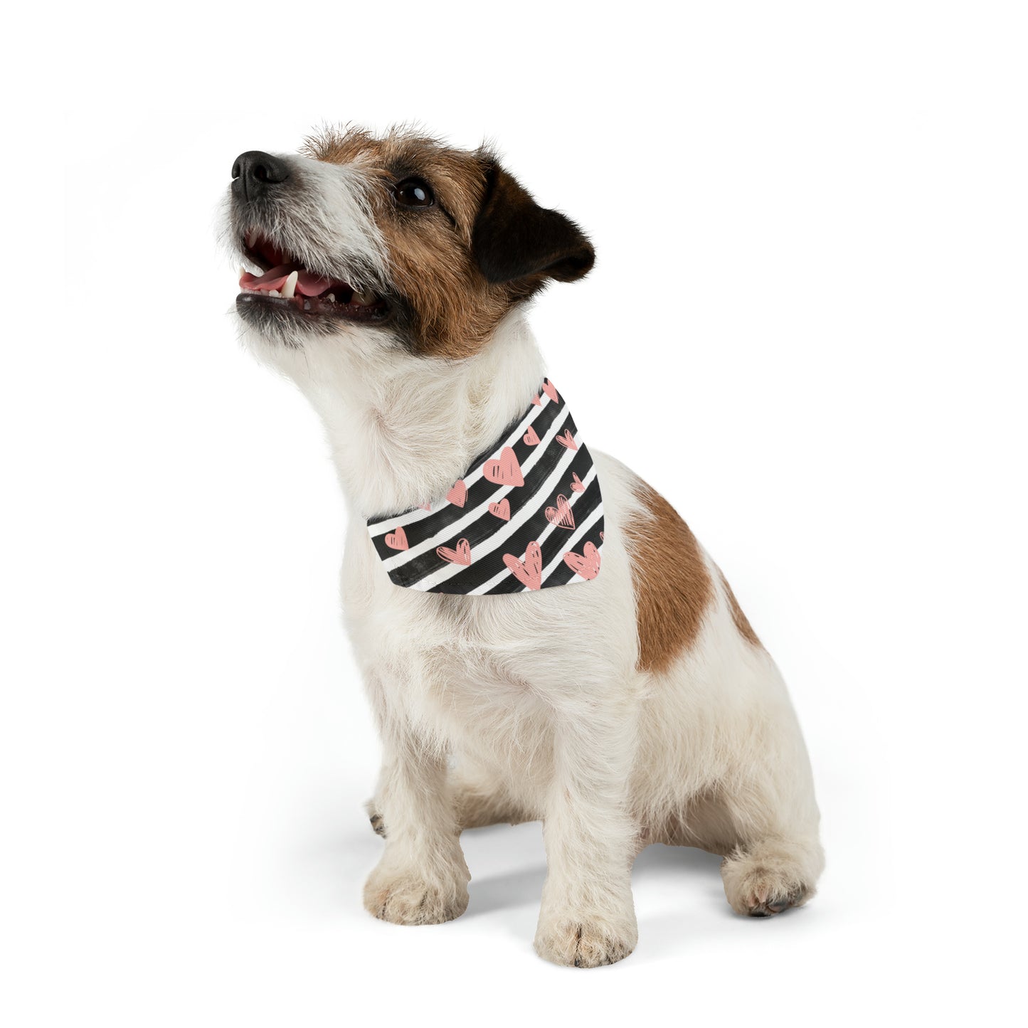 Hearts & Stripes Pet Bandana Collar