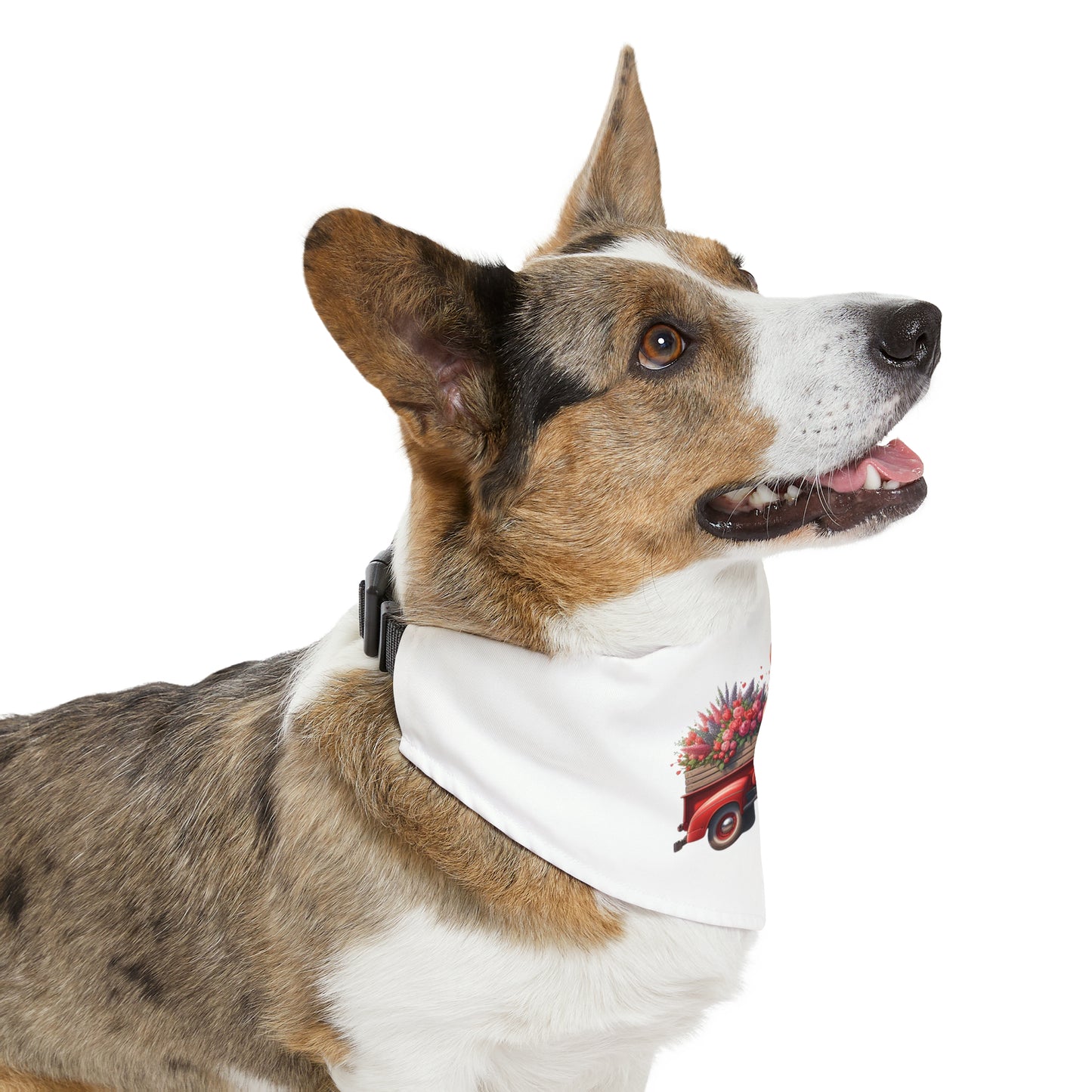 Eye Patch Bull Terrier Valentine's Day Truck Pet Bandana Collar