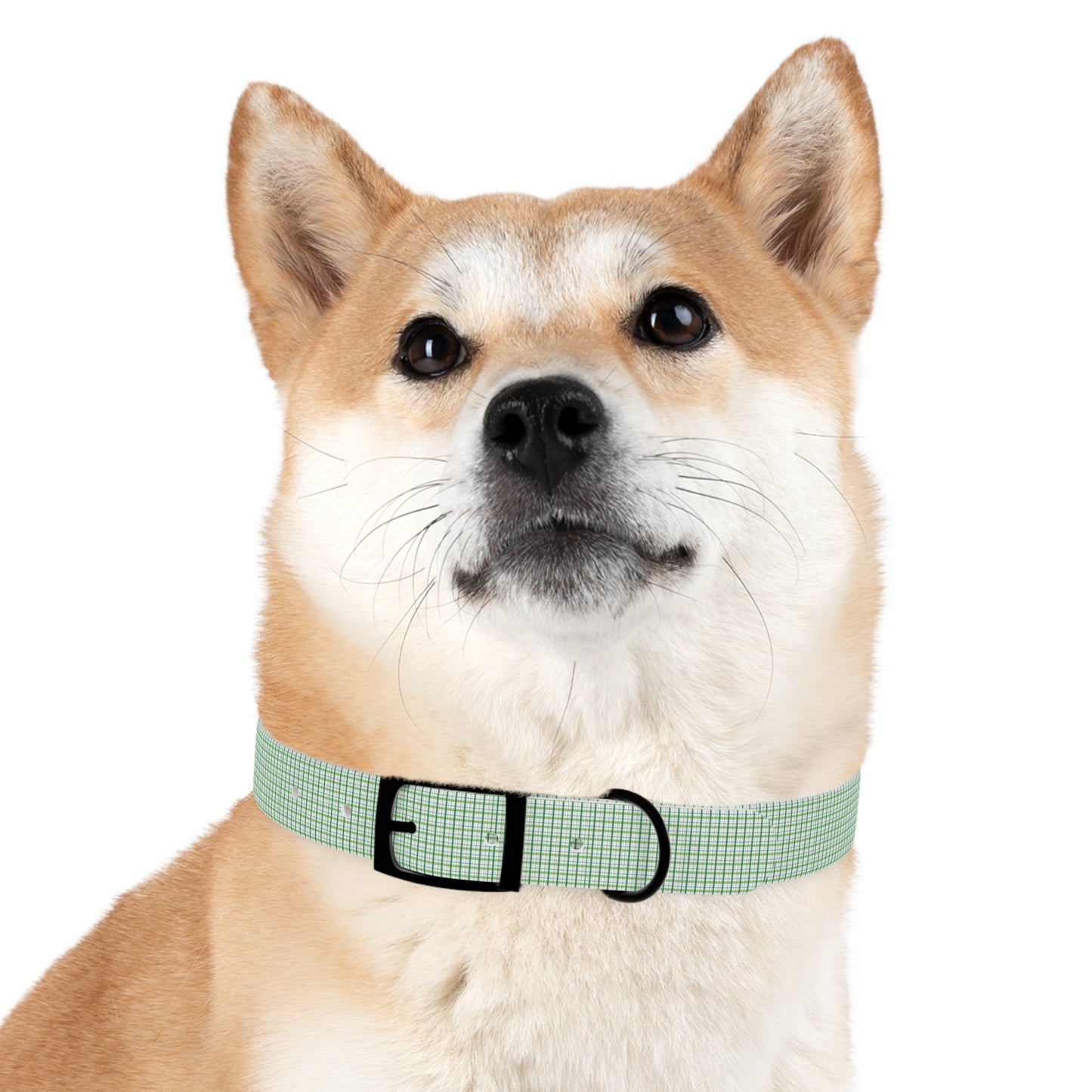 Green Plaid Dog Collar