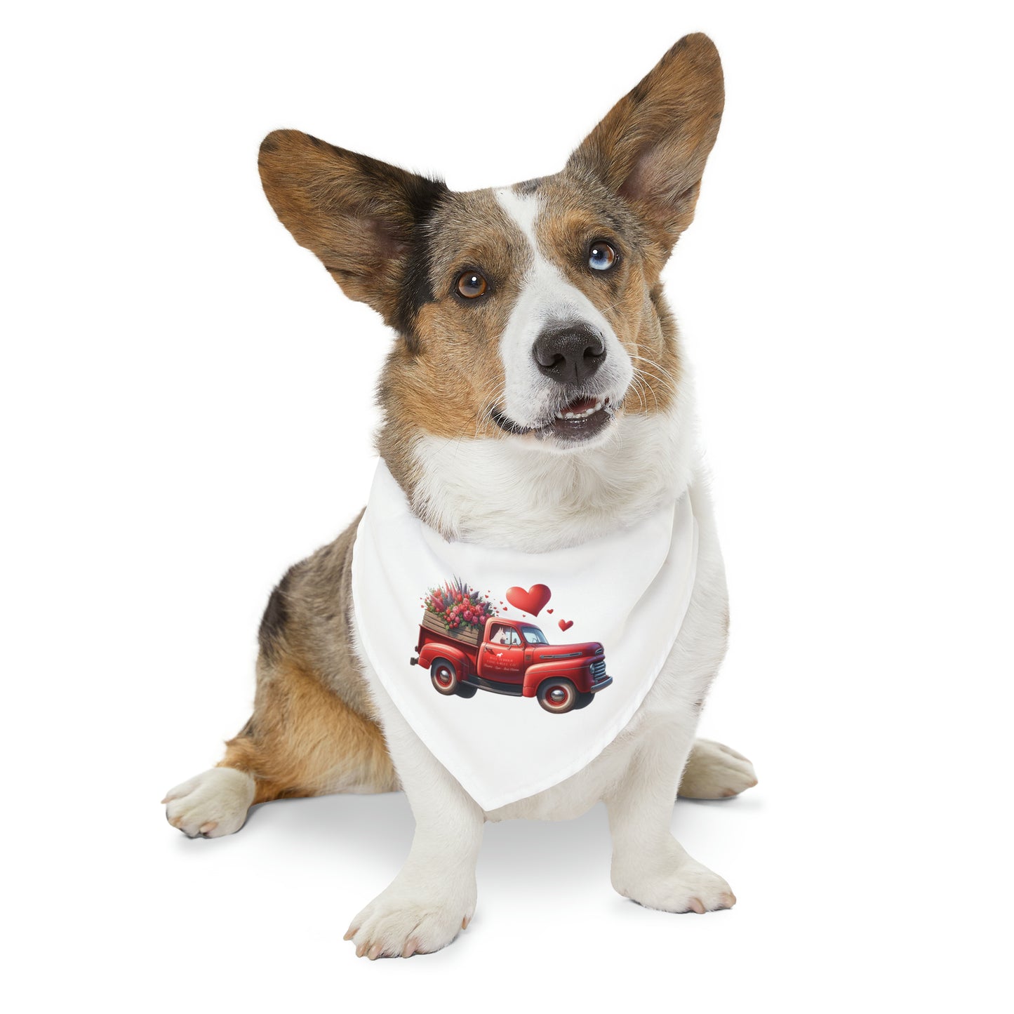 Valentine's Day Bull Terrier Truck Pet Bandana Collar