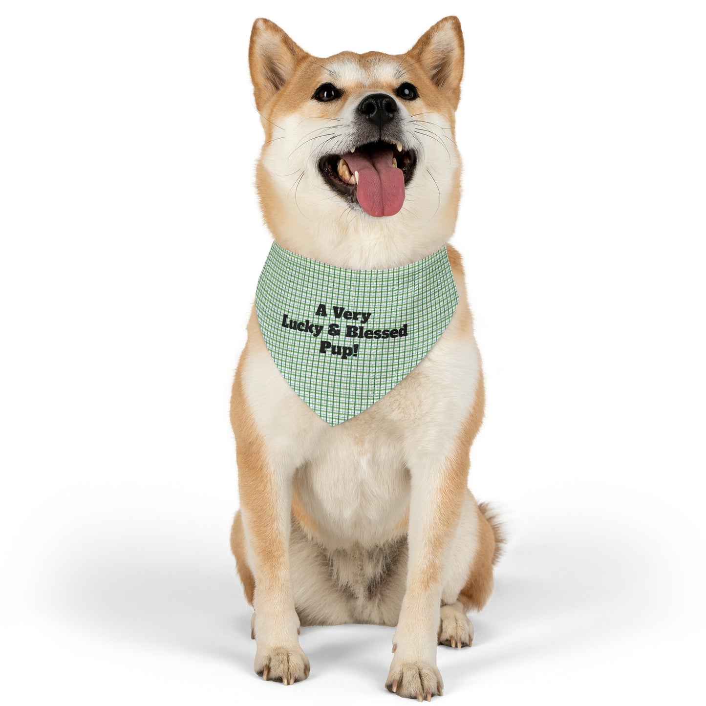 A Very Lucky & Blessed Pup Pet Bandana Collar