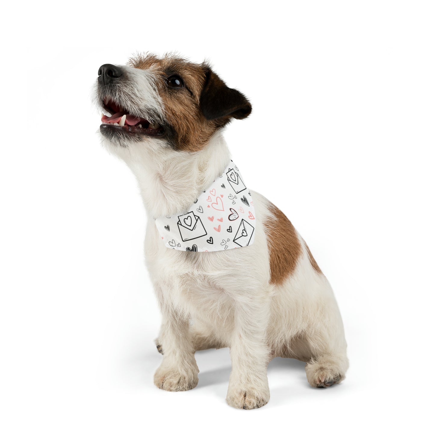 Valentine's Day Pet Bandana Collar