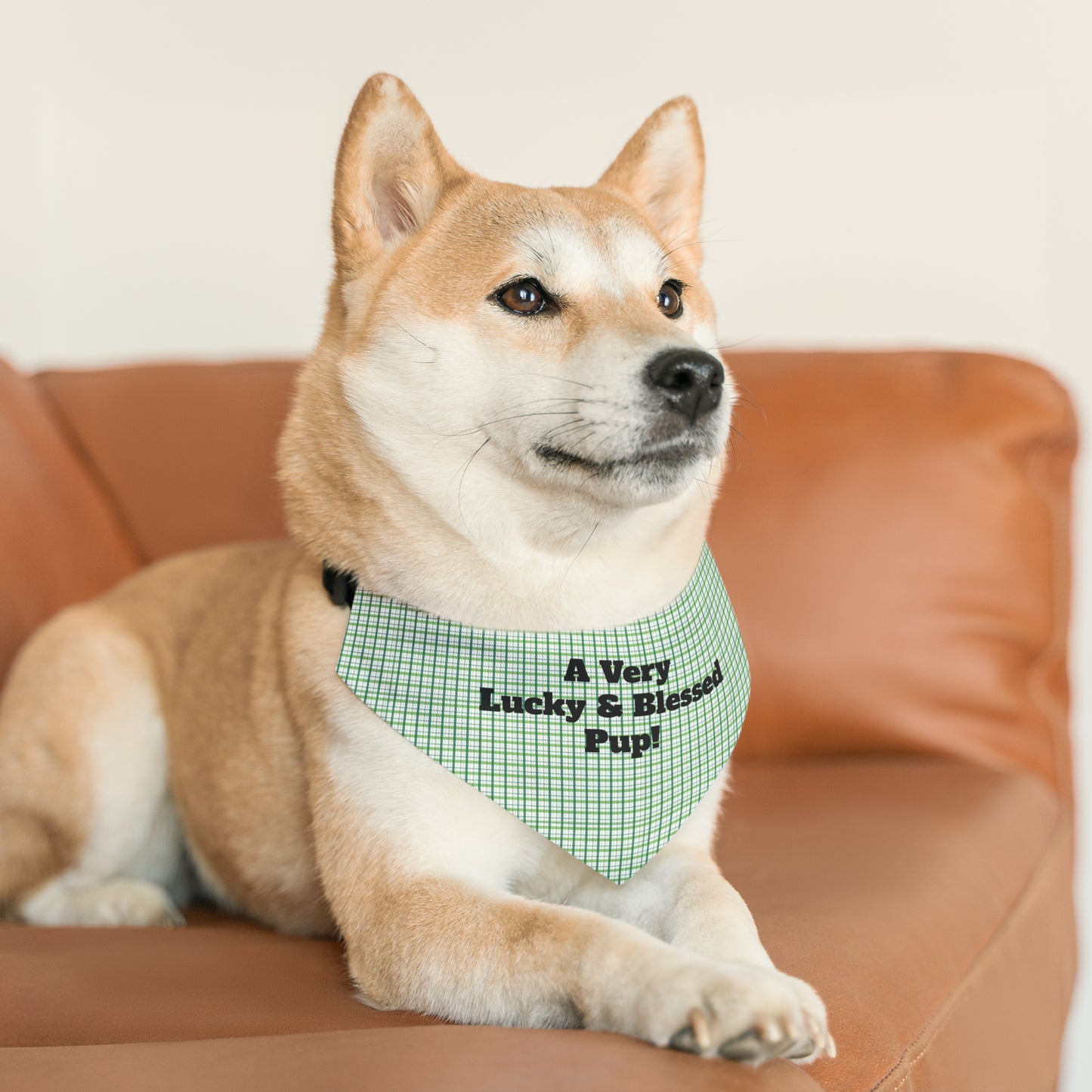 A Very Lucky & Blessed Pup Pet Bandana Collar