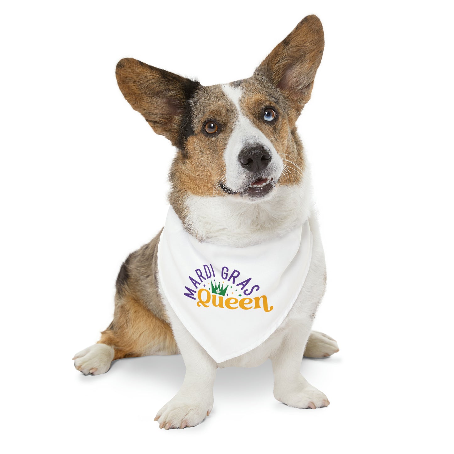 Mardi Gras Queen Pet Bandana Collar