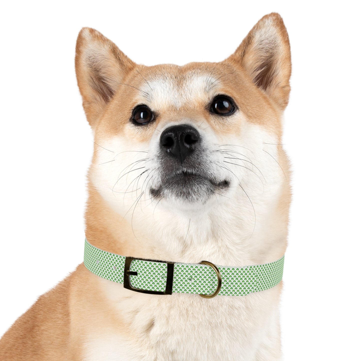 Tiny Shamrock Dog Collar